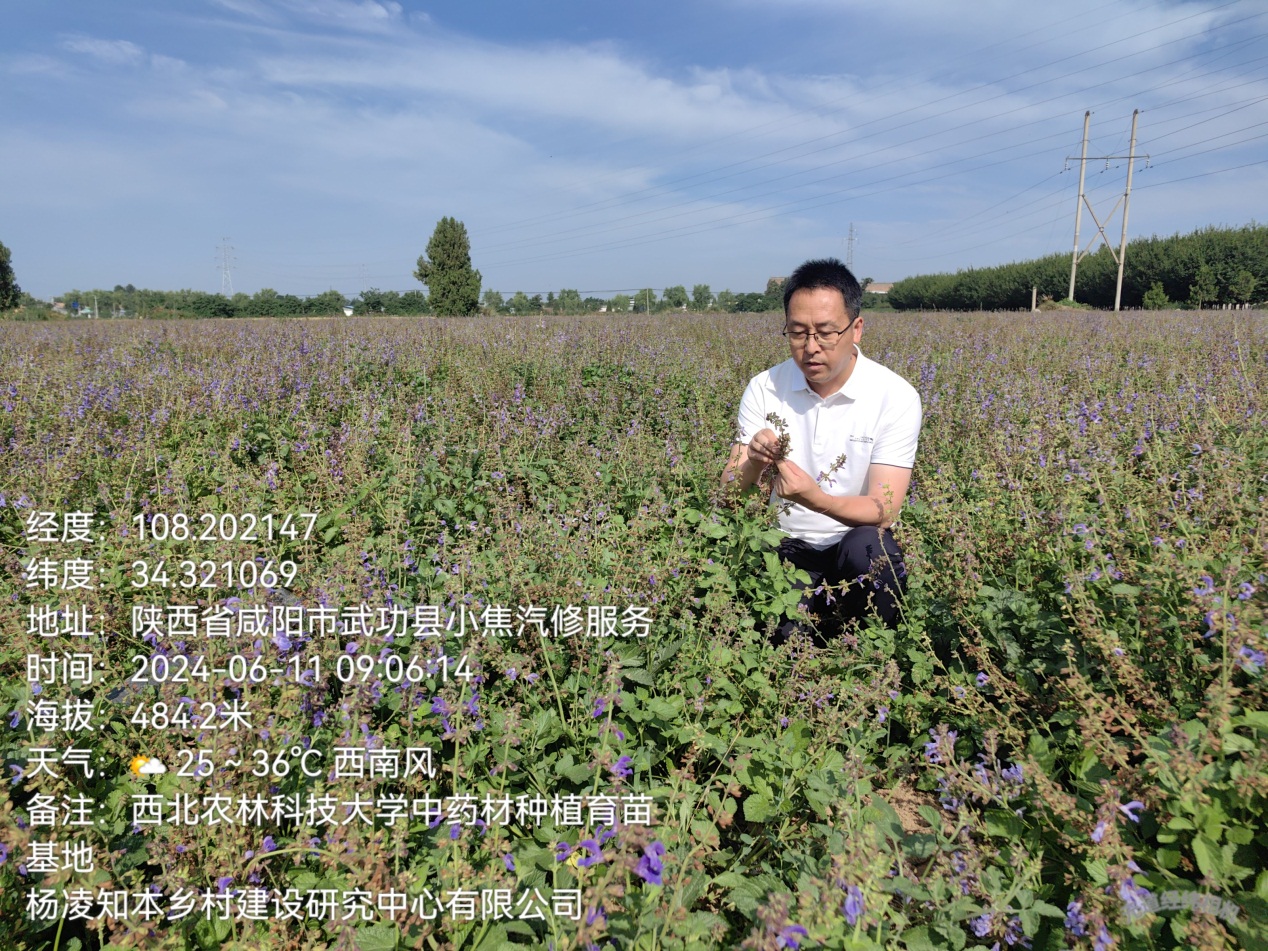 说明: D:\微信\WeChat Files\wxid_g2ivj4qbk1g322\FileStorage\Temp\f2cf0a218817bdcaf710a7fa5a5a585.jpg