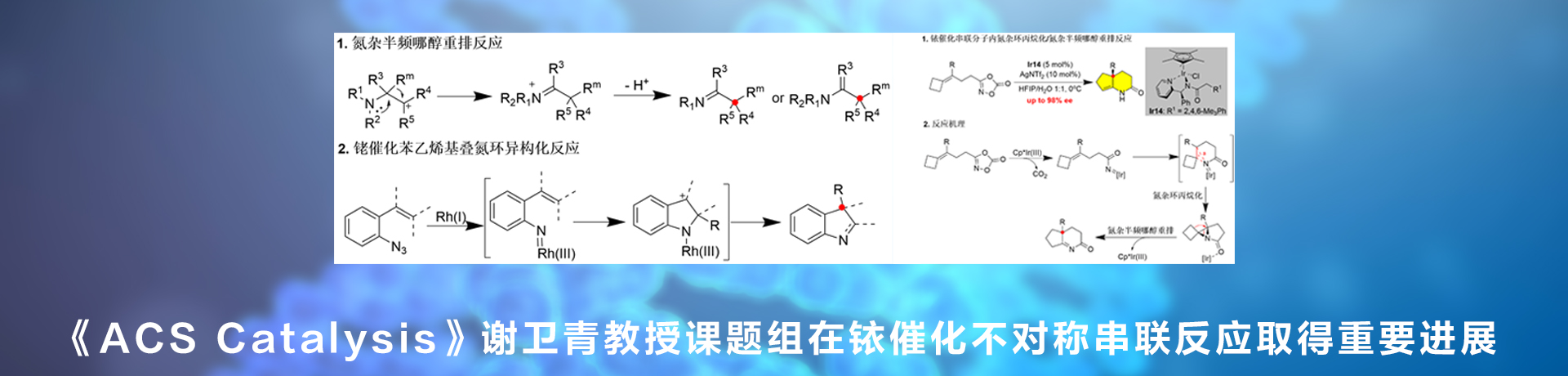 未标题-1.jpg