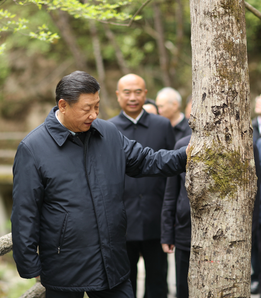 这是2020年4月20日，习近平总书记在位于陕西省商洛市柞水县的秦岭牛背梁国家级自然保护区，考察秦岭生态保护情况。