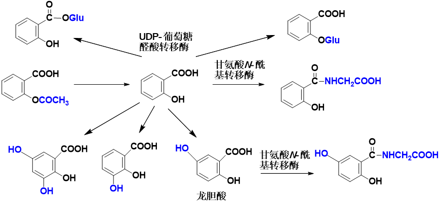 014d043807c74a4a8bf70ef60ab6dc5c.png 014d043807c74a4a8bf70ef60ab6dc5c.png