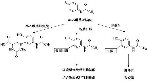 8872939e44604cb4b3685fff576b90fd.png 图片2.png